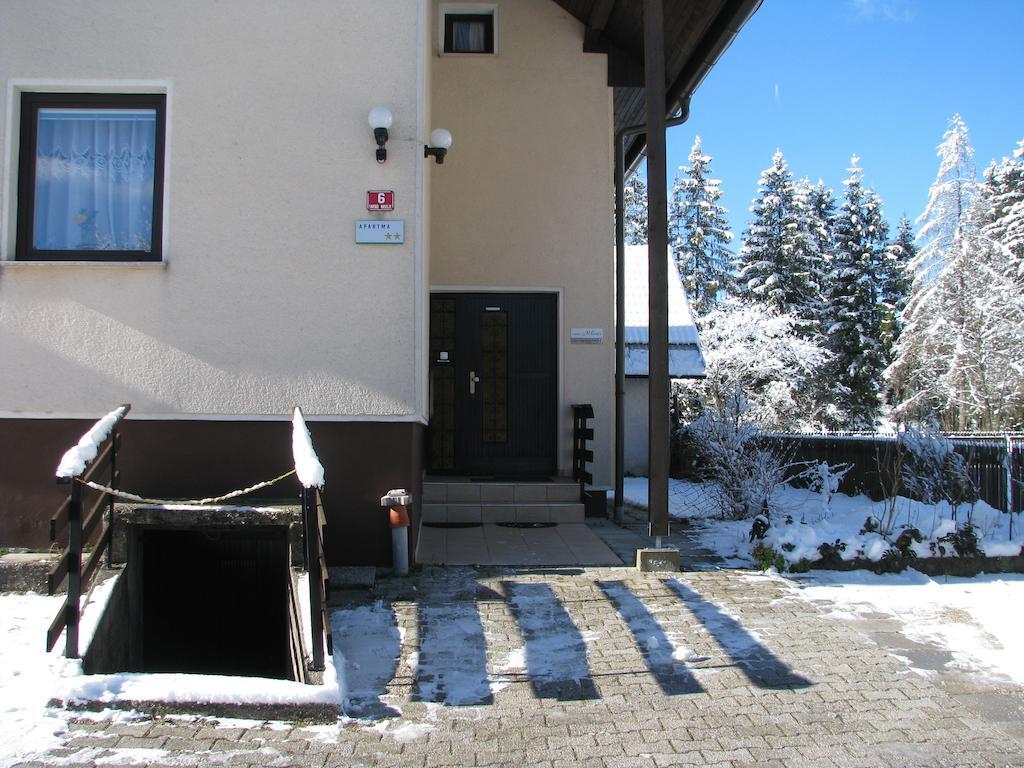 Apartments And Rooms Milena Kranjska Gora Exterior photo